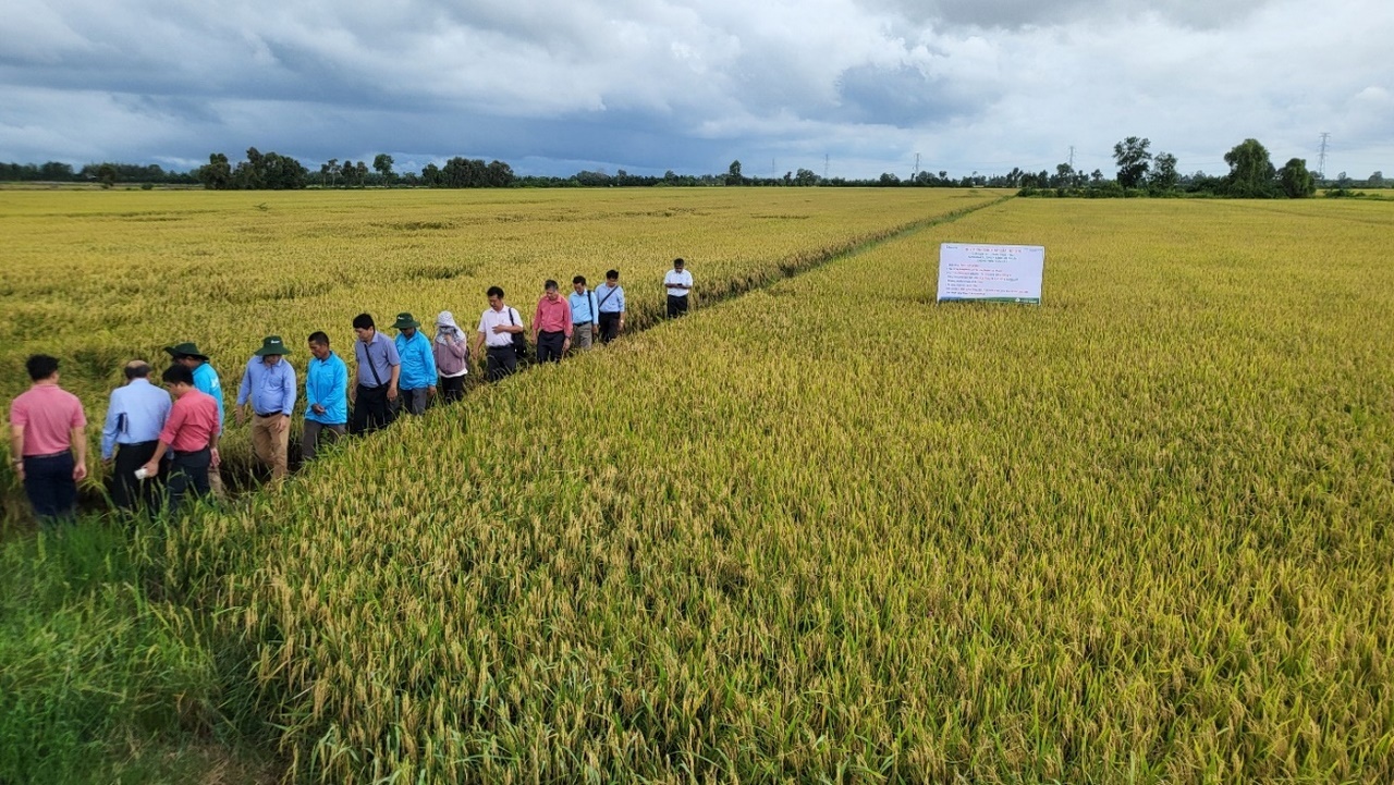 tham quan mô hình tại Long An 